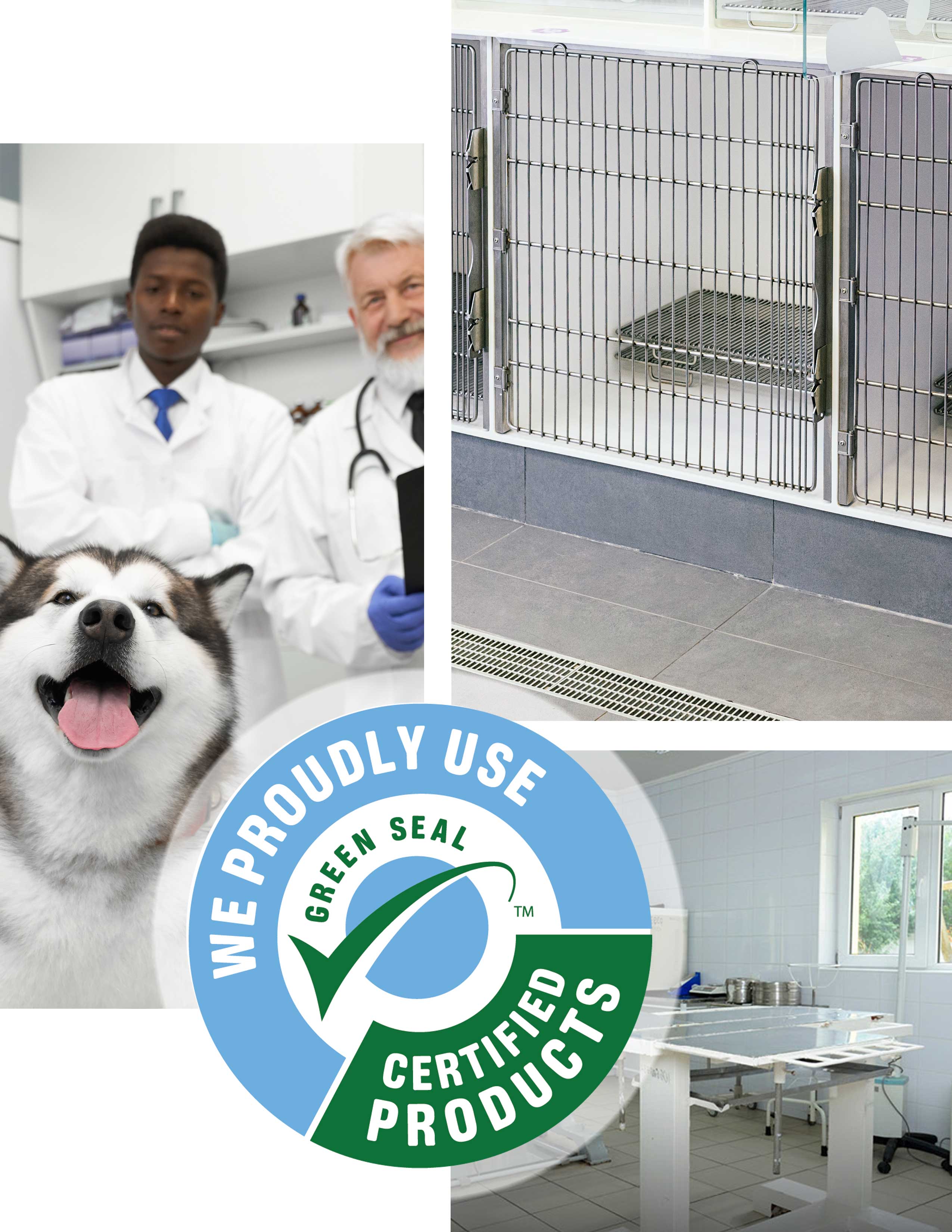 Veterinary Office Cleaning | Stratus